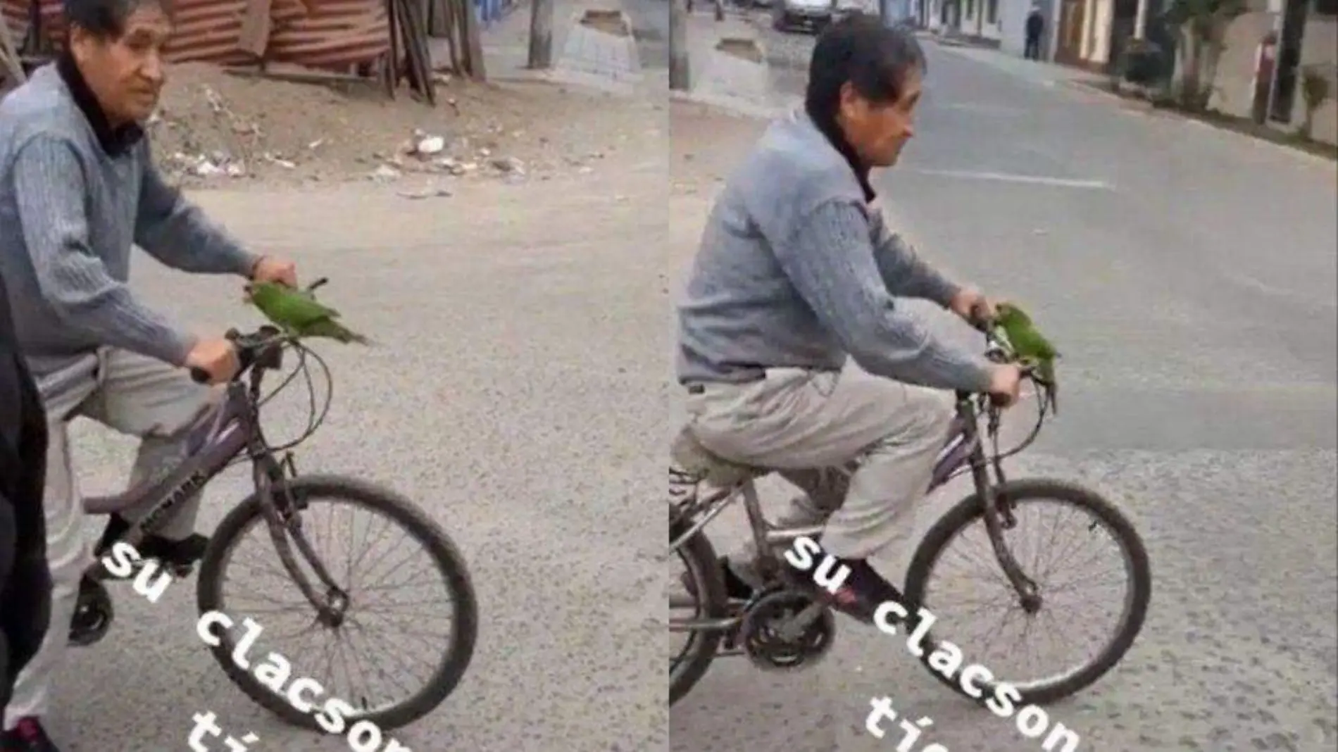 Abuelito utiliza loro como claxon en su bicicleta